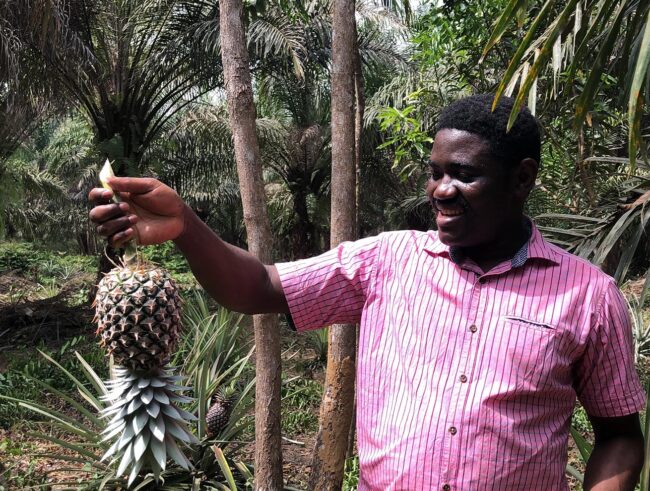 Investment in Agriculture